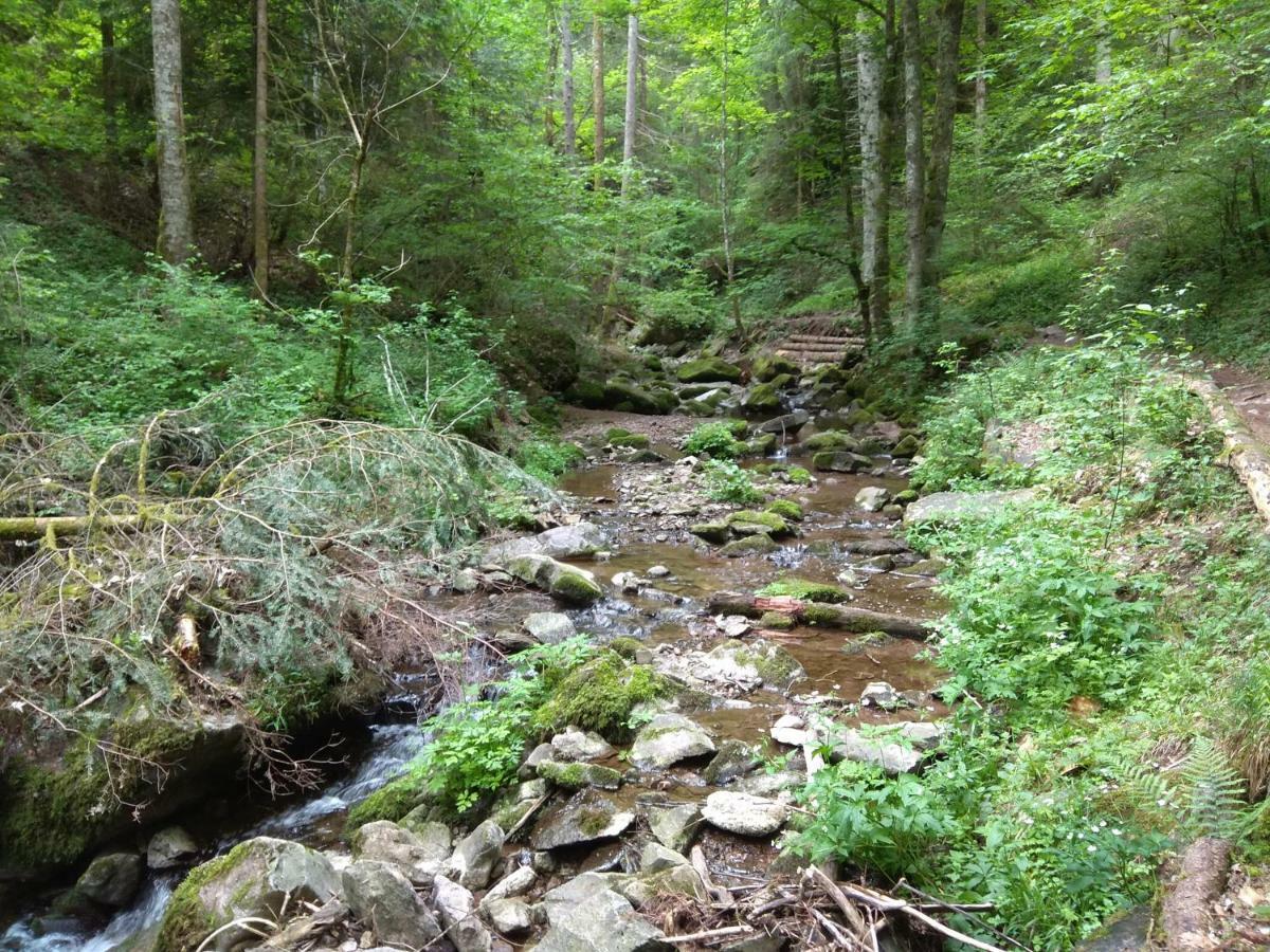 Amy'S Apartment, Relax And Enjoy Bonndorf im Schwarzwald Bagian luar foto